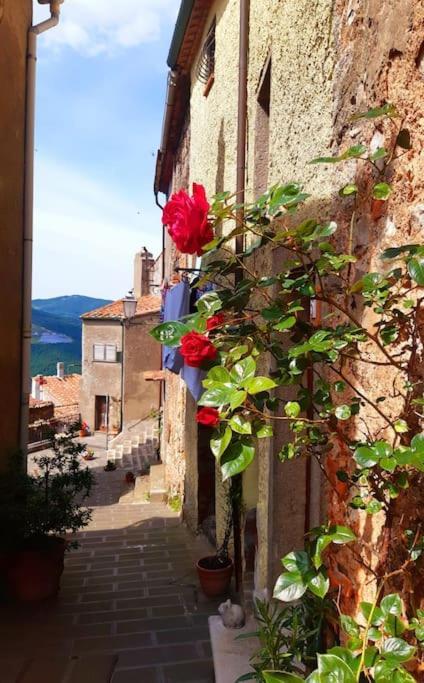 Villa Casa Il Girasole Boccheggiano Esterno foto