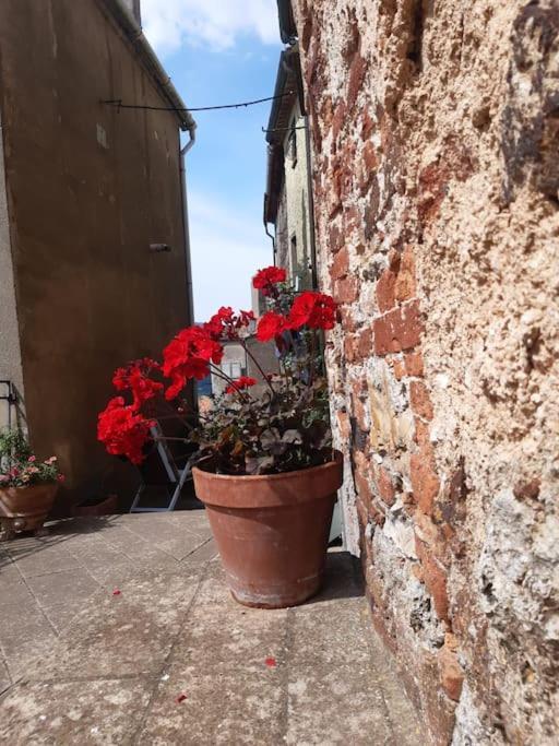 Villa Casa Il Girasole Boccheggiano Esterno foto