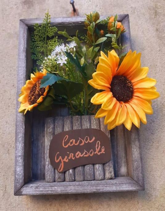 Villa Casa Il Girasole Boccheggiano Esterno foto