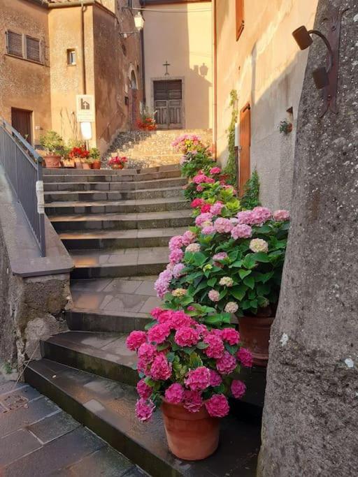 Villa Casa Il Girasole Boccheggiano Esterno foto